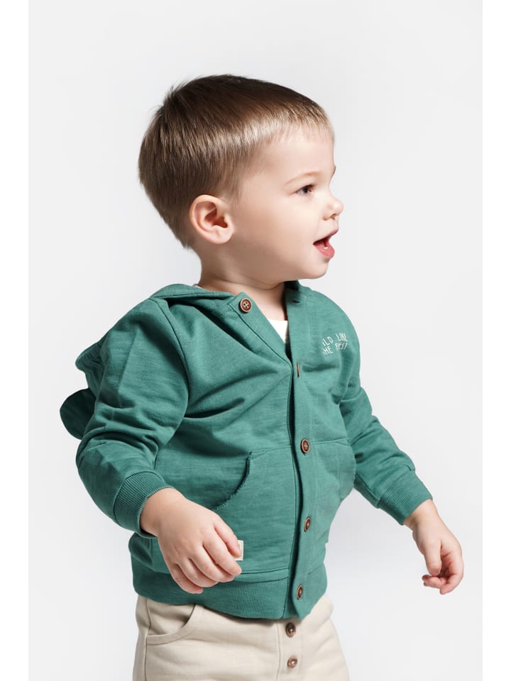 Coccodrillo Sweatshirt mit Reißverschluss in grün günstig kaufen
