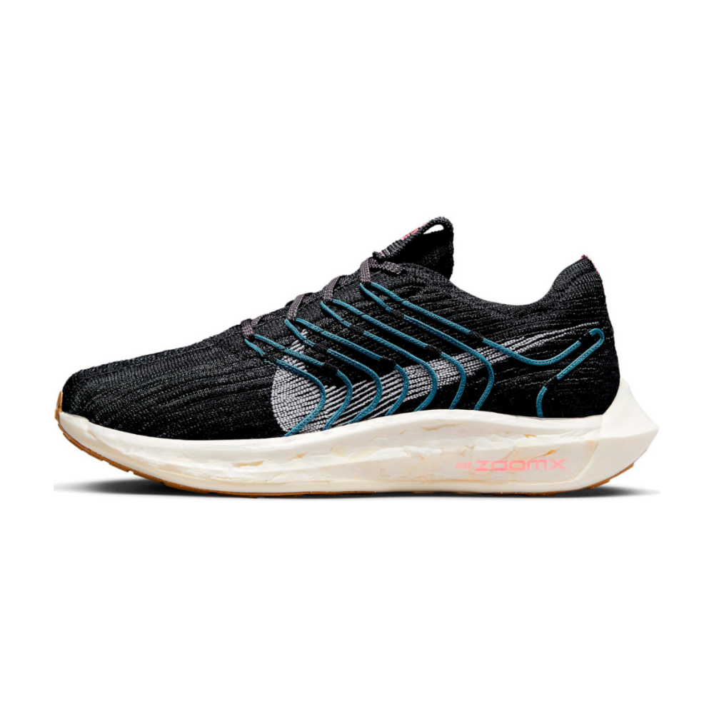 Nike Pegasus Turbo Next Nature DM3414-004 / schwarz