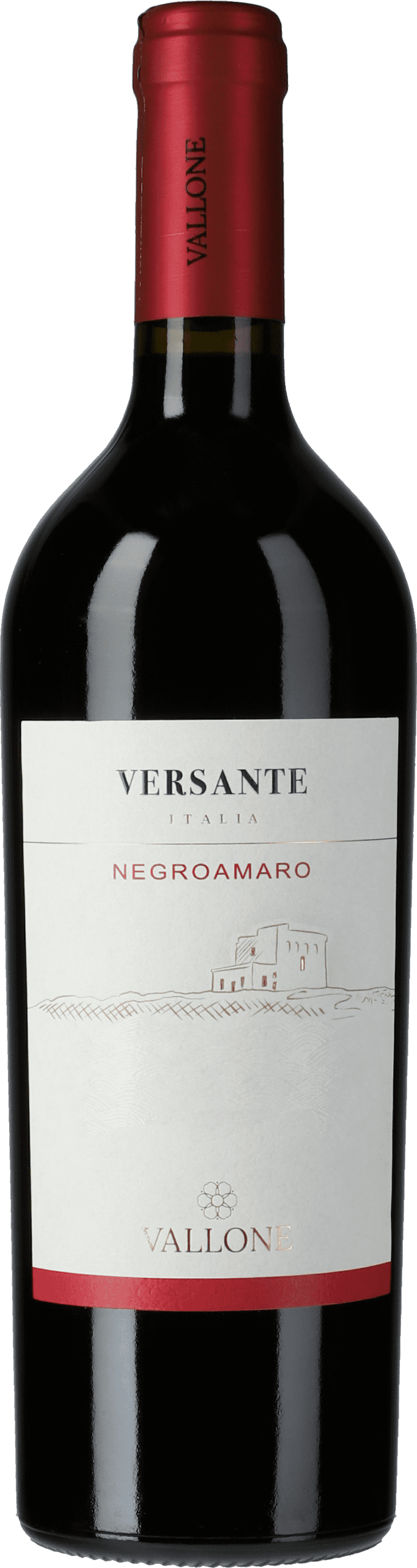 Agricole Vallone: Negroamaro 2022
