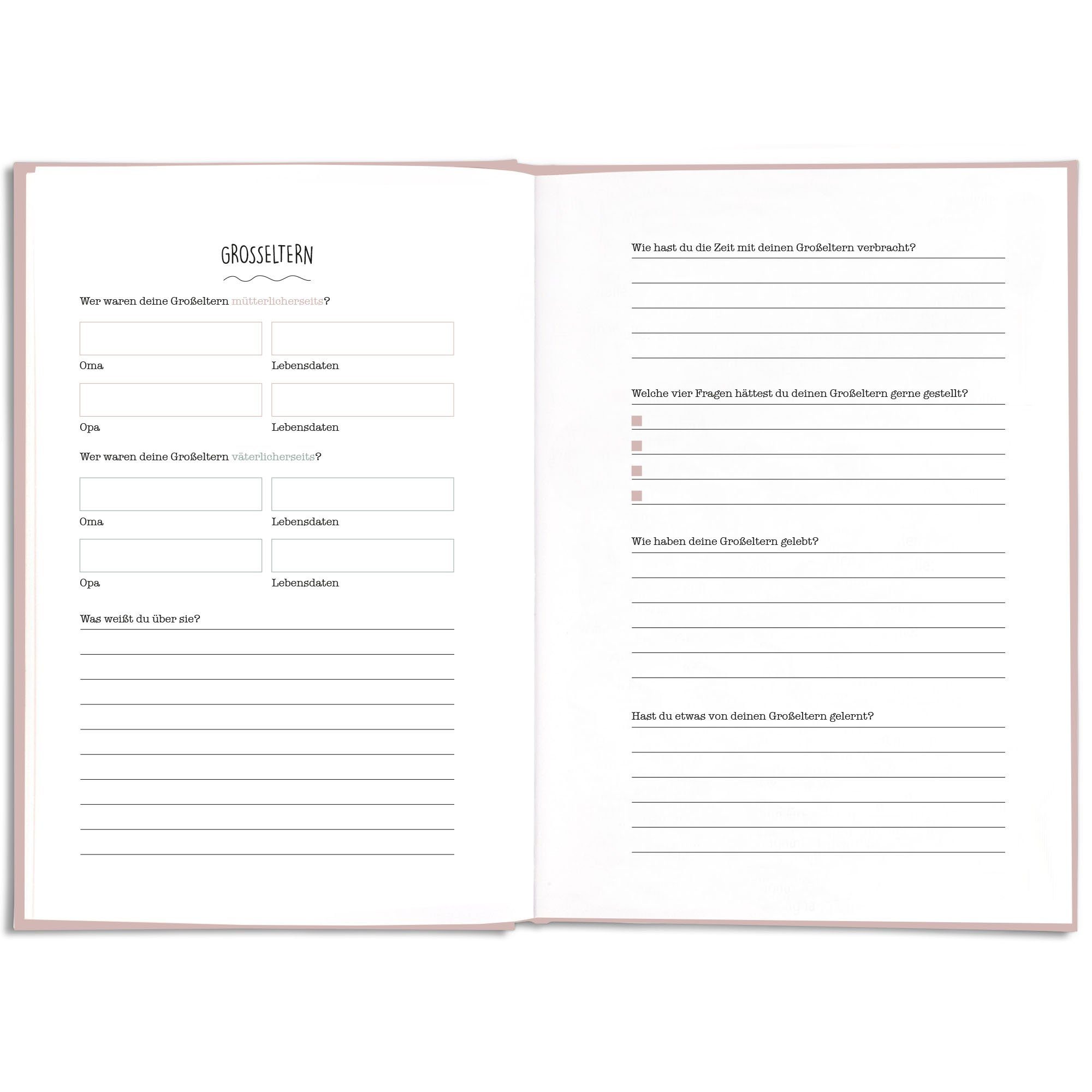 CUPCAKES & KISSES Notizbuch Oma was kannst du erzählen, Buch zum ausfüllen, Geschenke für Oma, Tolles Geschenk für deine Oma