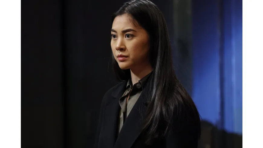 The Blacklist - Die komplette neunte Season  [5 DVDs]
