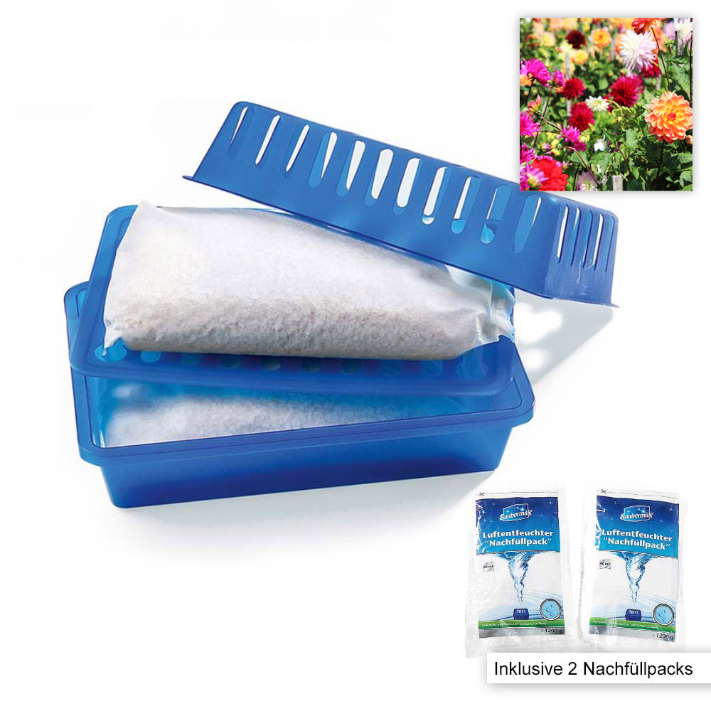 Saubermax Luftentfeuchter Starter-Set mit Blumenfrische - Grau