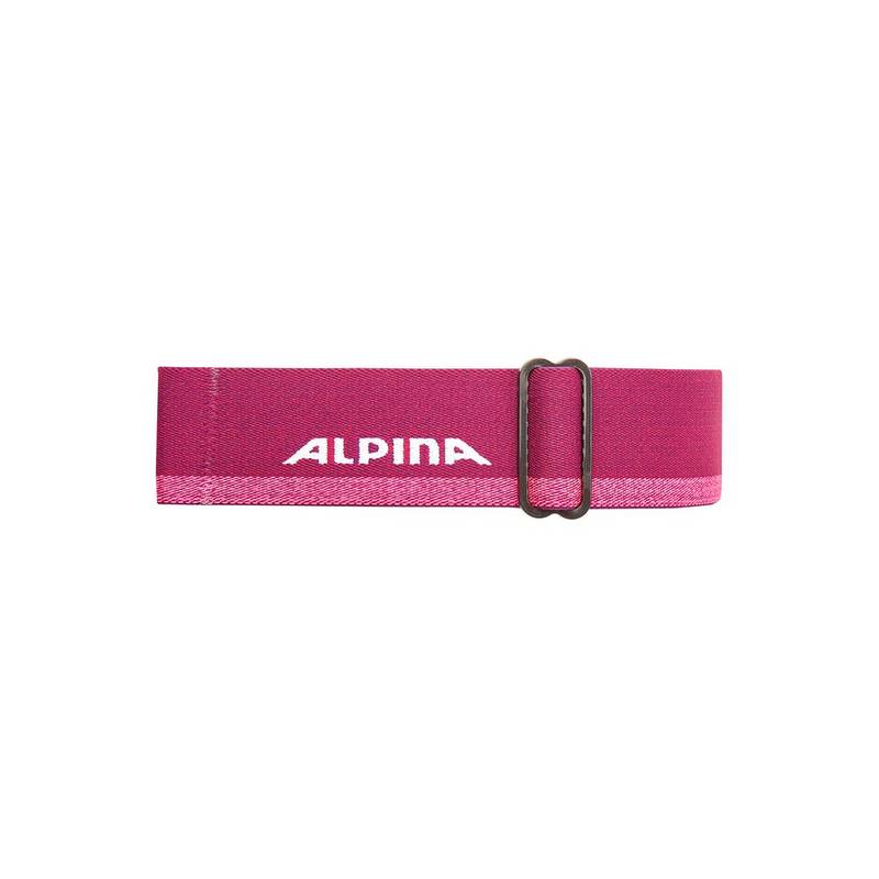 ALPINA FREESPIRIT DH Skibrille