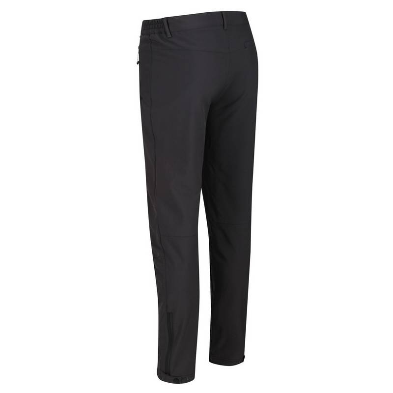 Regatta Geo II Wanderhose Herren