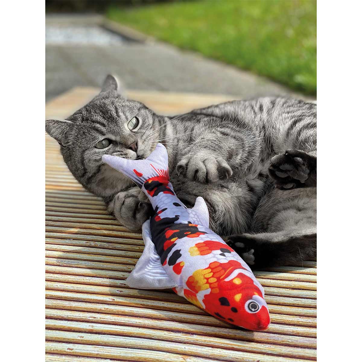 Aumüller Katzenspielkissen Zappel-Koi günstig kaufen