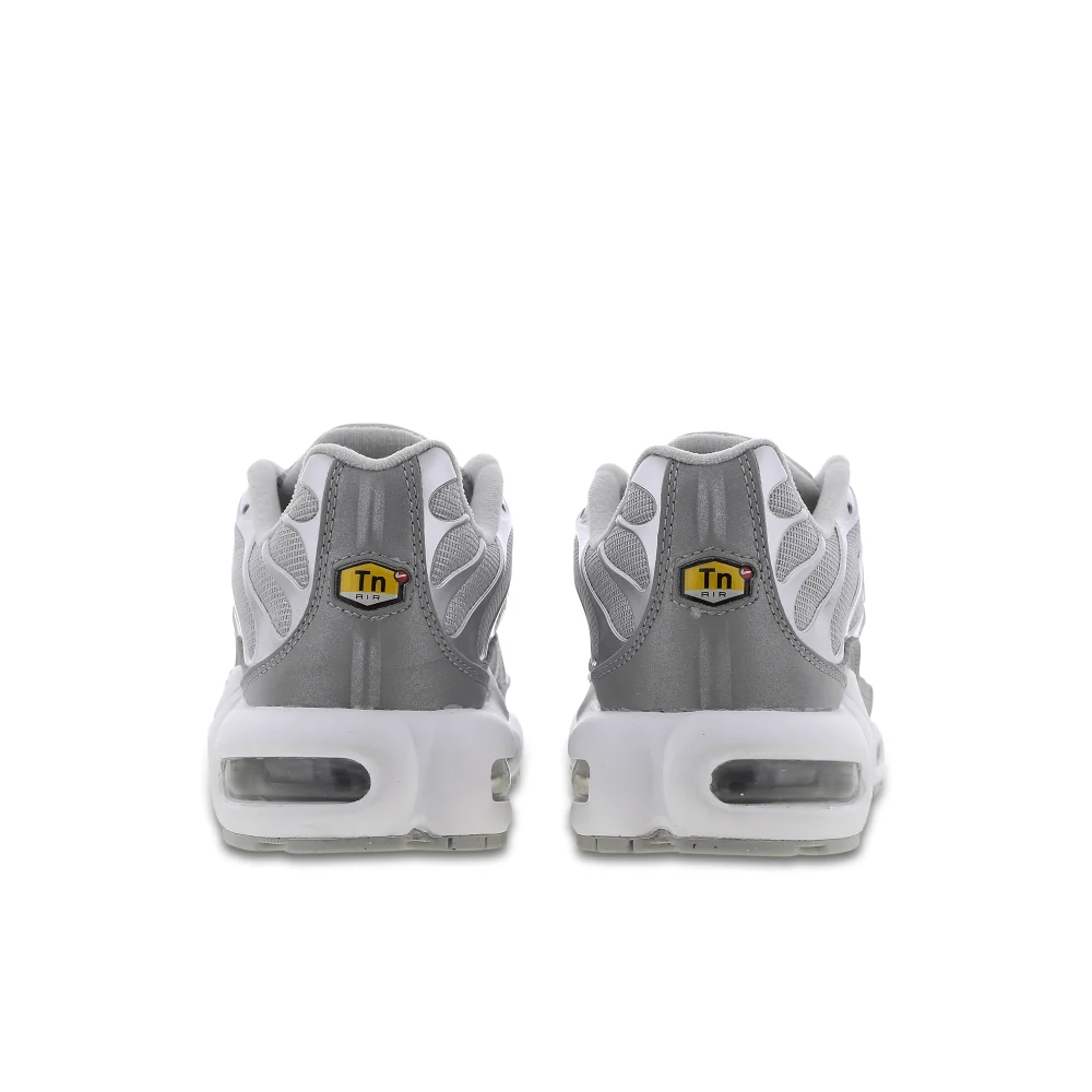 Nike Air Max Plus FJ1012-095 / grau