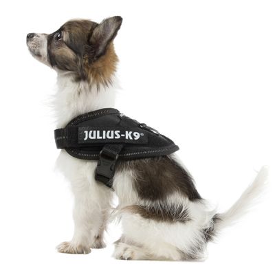JULIUS-K9 IDC®-Powergeschirr - schwarz