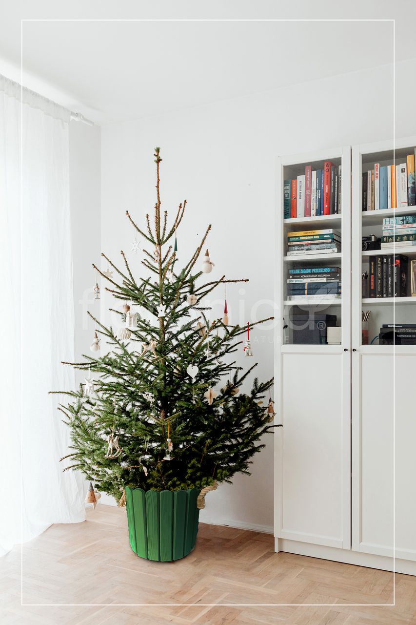 Pemicont Floranica Runder Blumentopf aus Holz 33x20cm Grün Imprägnierte Kiefer Schutzhülle für Kräuter Blumen Haus- und Gartendekoration Truhe Innen- und Außeneinsatz EU-Produkt