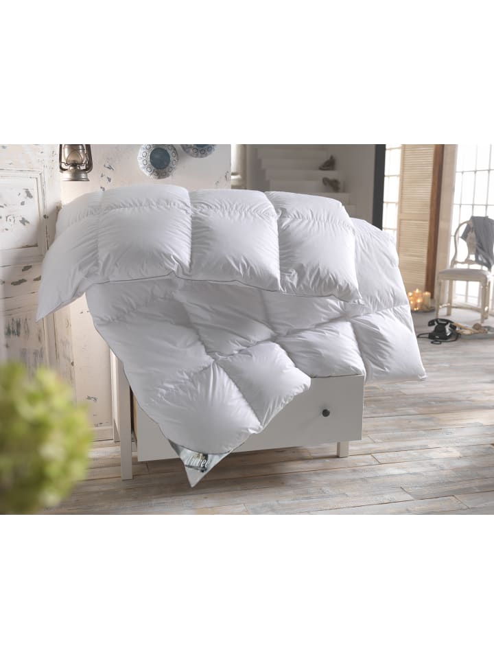 ARO ARTLÄNDER Daunendecke CARREE Comfort Leicht  günstig kaufen