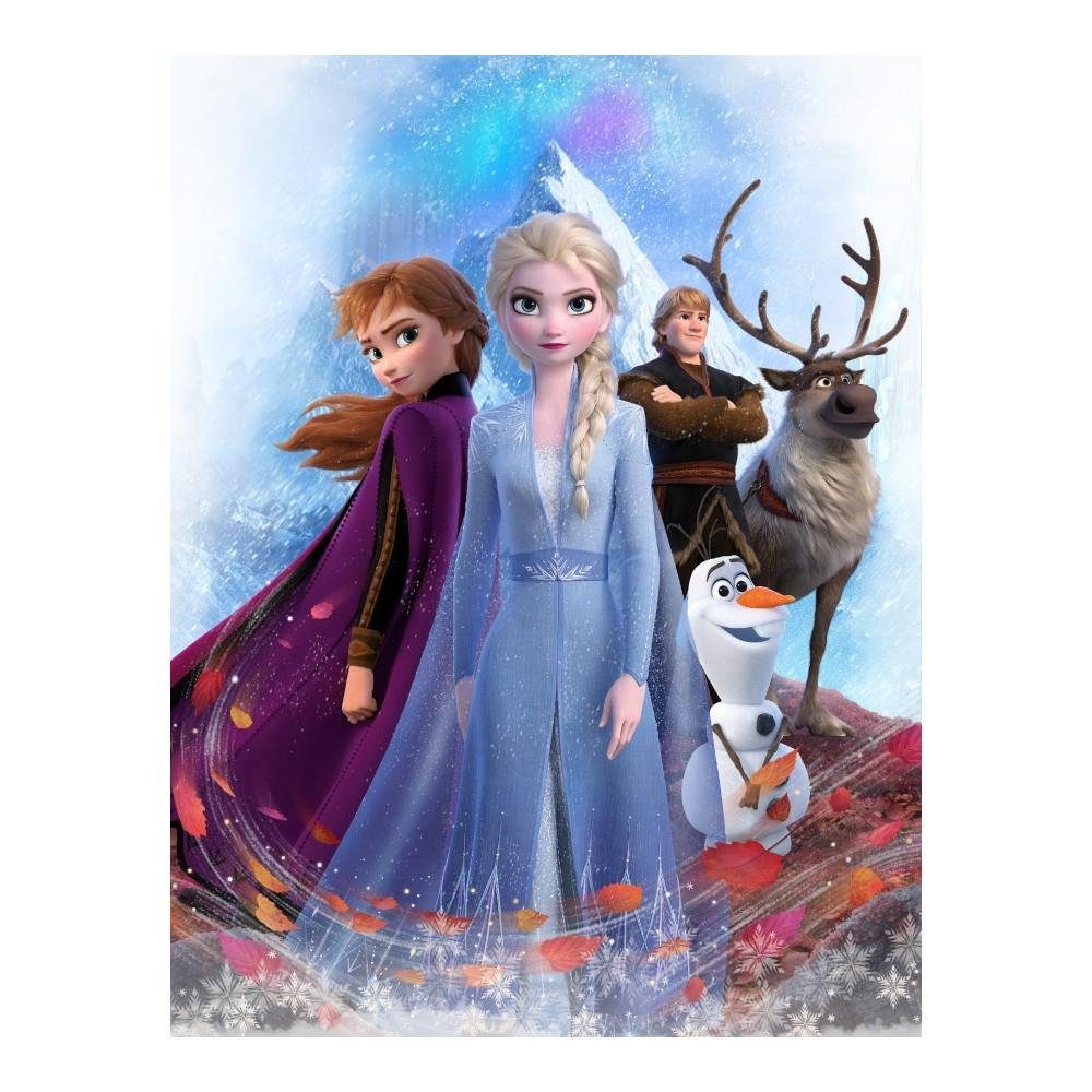 Kinderdecke Kuscheldecke / Schmusedecke Motiv Anna und Elsa aus  Frozen 130,  Frozen