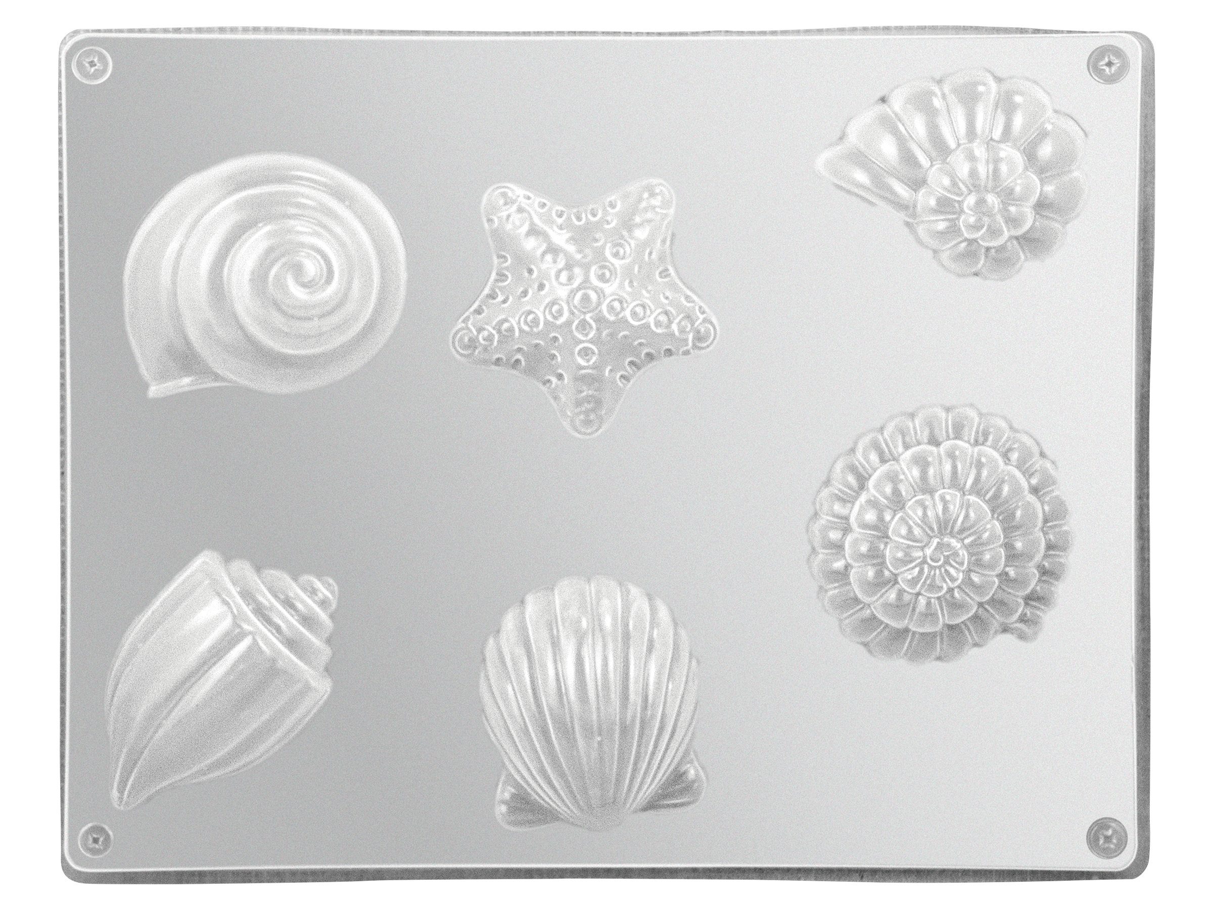 CREARTEC Modellierwerkzeug Gießform Muscheln, 5 Motive