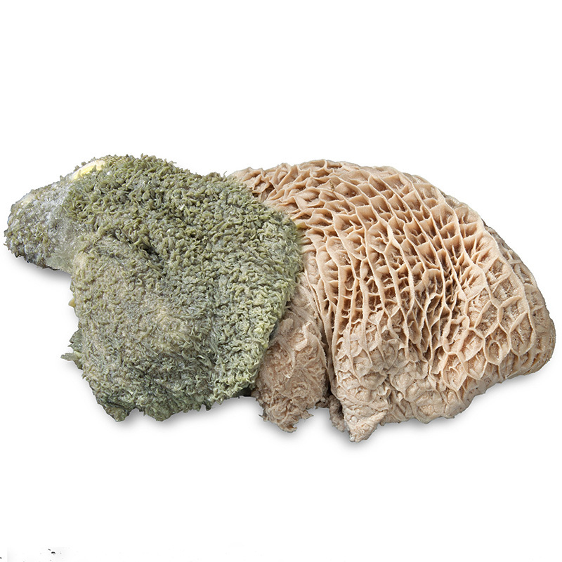 ProCani BARF/ Frostfutter ProCani buy nature Pansen grün 16x500 g