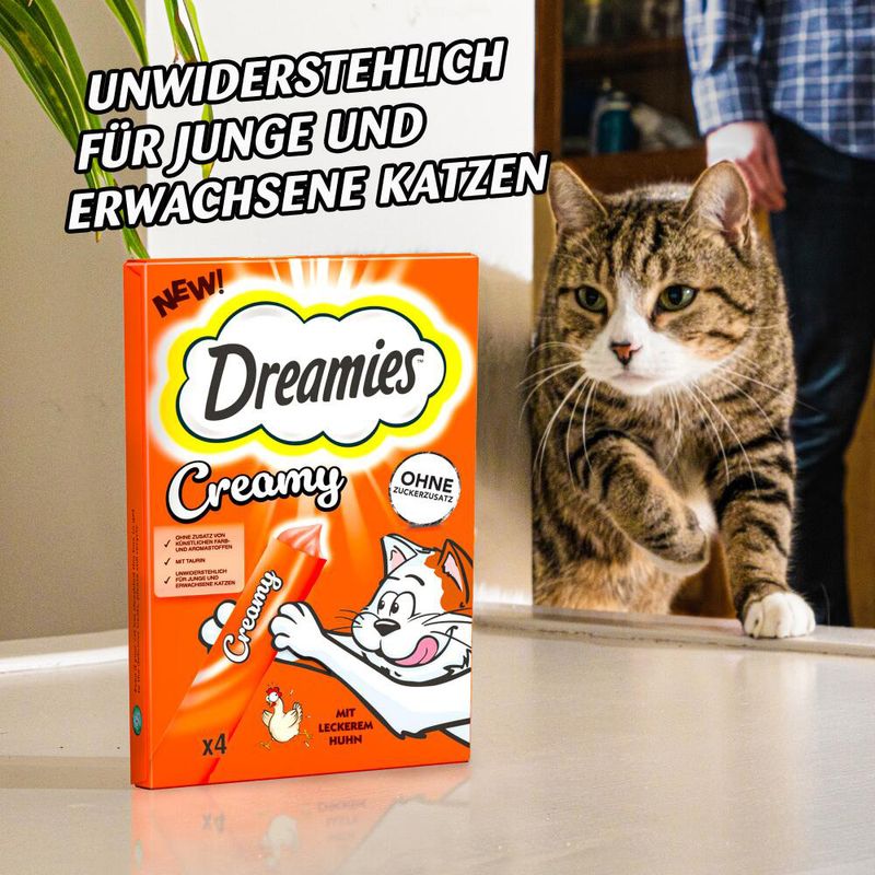 Dreamies Creamy Snacks zu TOP-Preisen