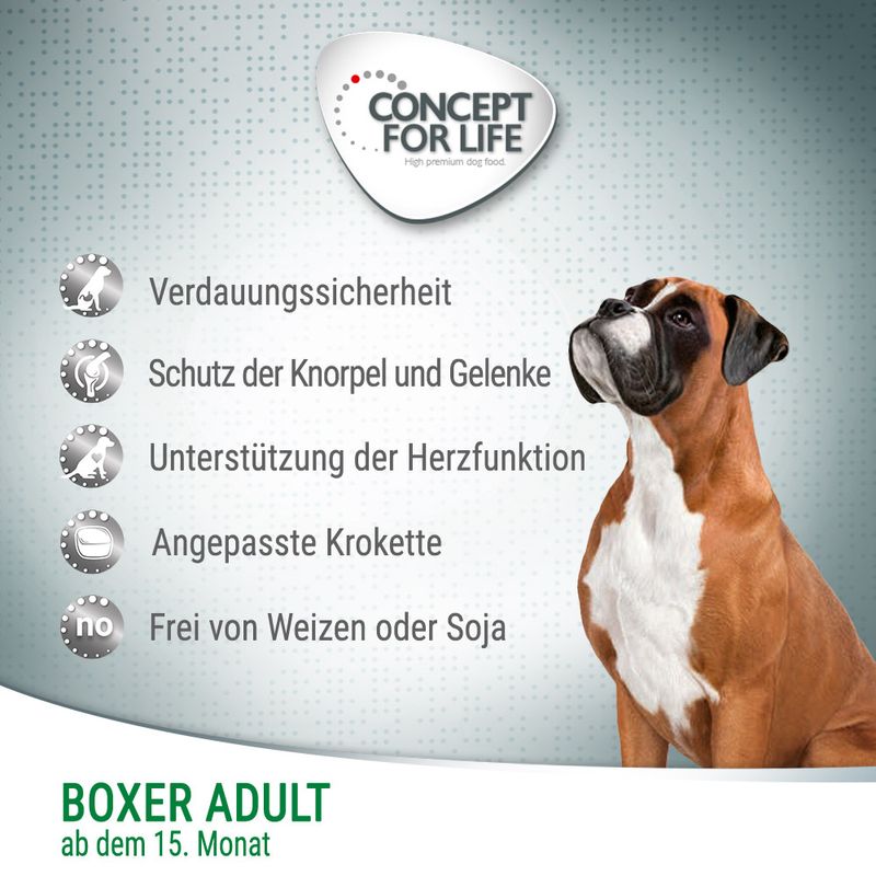 Concept for Life Boxer Adult