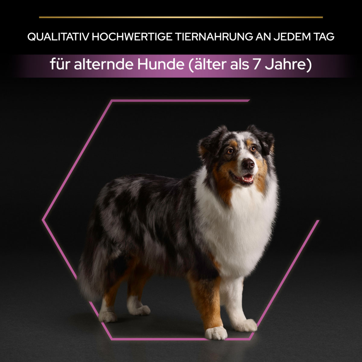PRO PLAN Medium & Large Adult 7+ Huhn günstig kaufen bei ZooRoyal