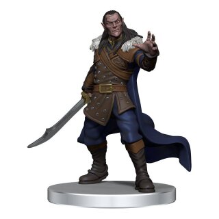 D&D Icons of the Realms: Curse of Strahd Miniaturen vorbemalt Denizens of Castle Ravenloft (7)