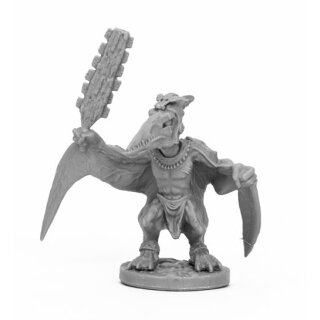 Skywing Stormcaller
