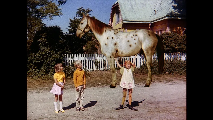 Pippi Langstrumpf & Michel aus Lönneberga - Spielfilm Box  [7 DVDs]