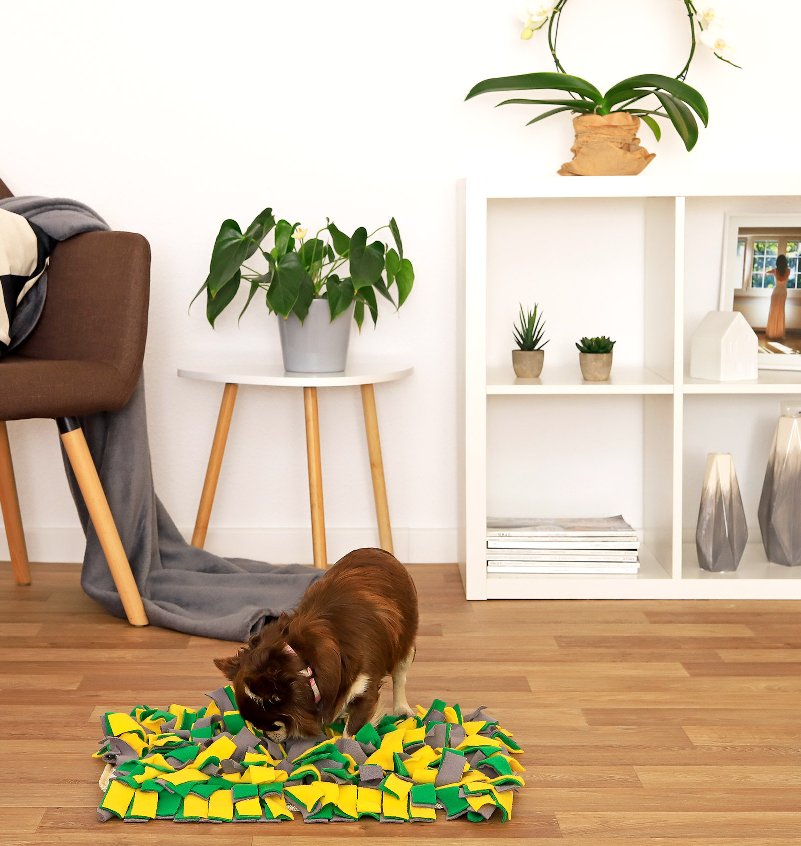 Lionto Intelligenzspielzeug Lionto Schnüffelteppich für Hunde gelb/ grün