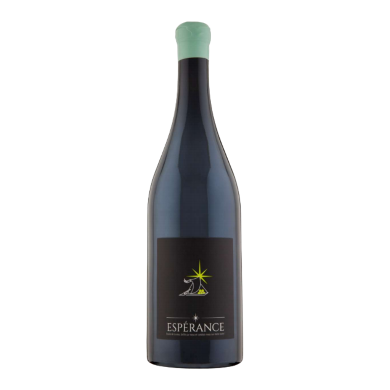 Espérance Vin de France 2019 - Vin de France - Loire - Loire - Terre de l'Elu (75CL.)