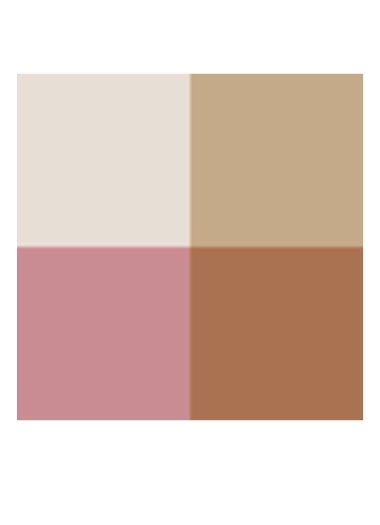 DIOR Dior Backstage Face Glow Palette - Highlighter