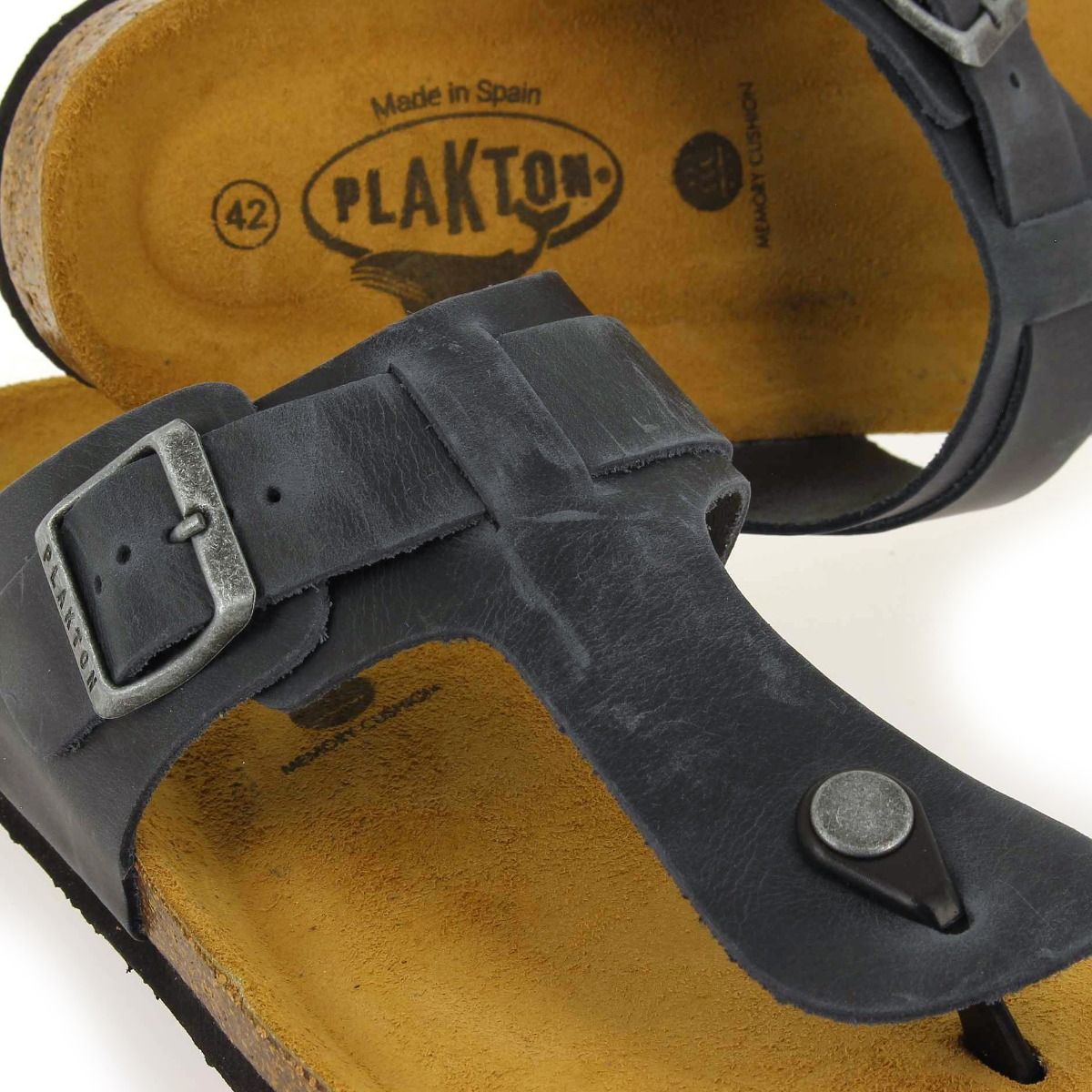 Plakton   BERDIE - Marine