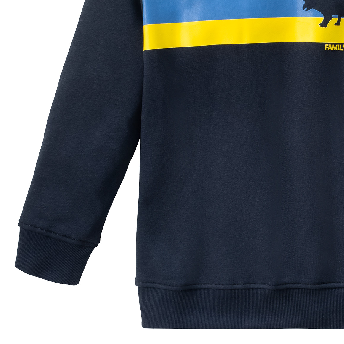 Jungen Sweatshirt mit Dino-Motiv
