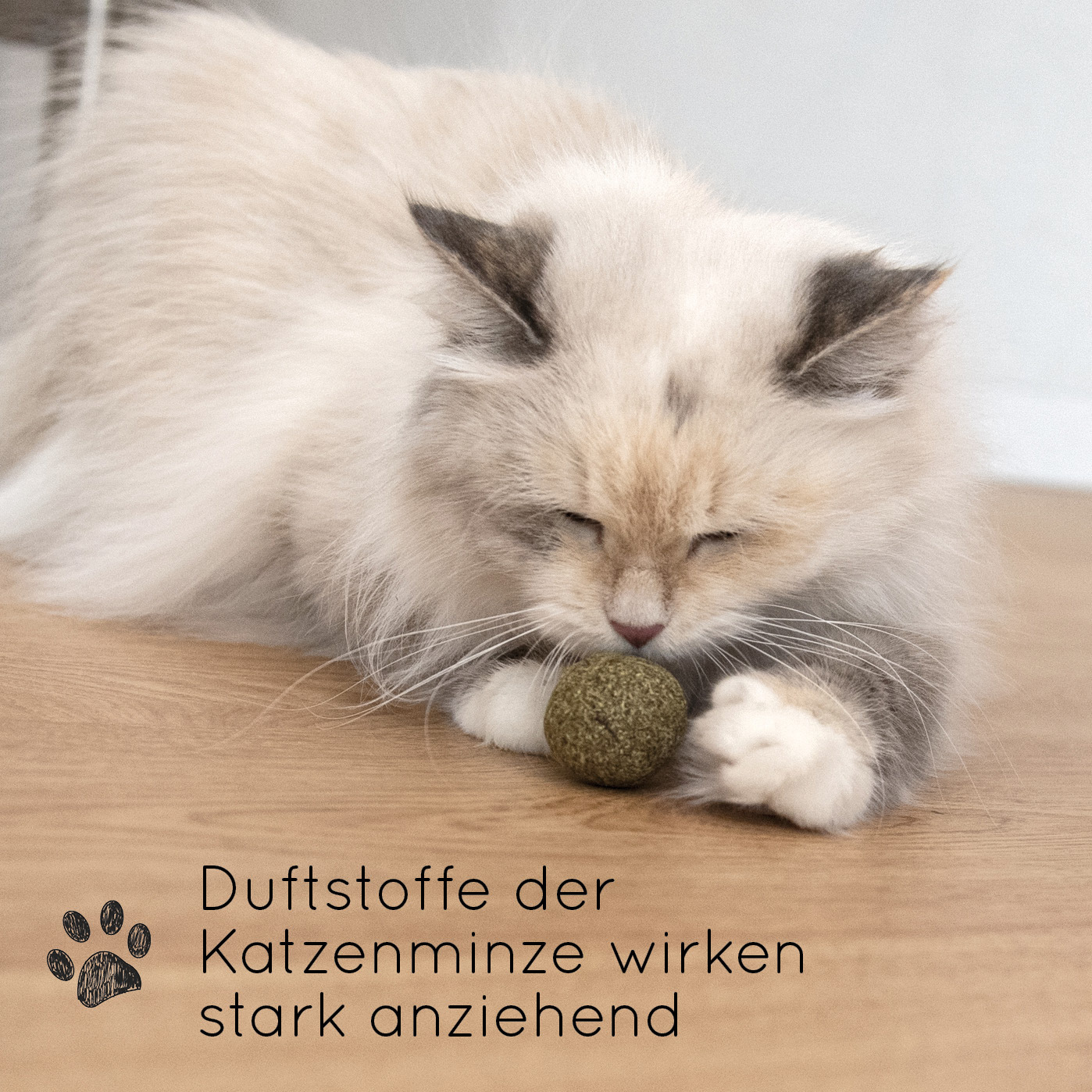 KaraLuna Baldrian & Catnipspielzeug KaraLuna Katzenminze Bälle 3 Stk.