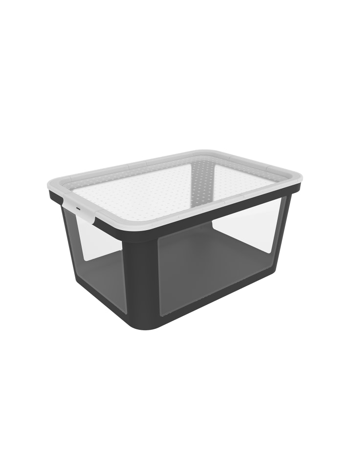 Rotho Albris Aufbewahrungsbox 45l mit Deckel, Kunststoff (PP recycelt) in Schwarz günstig kaufen onesize