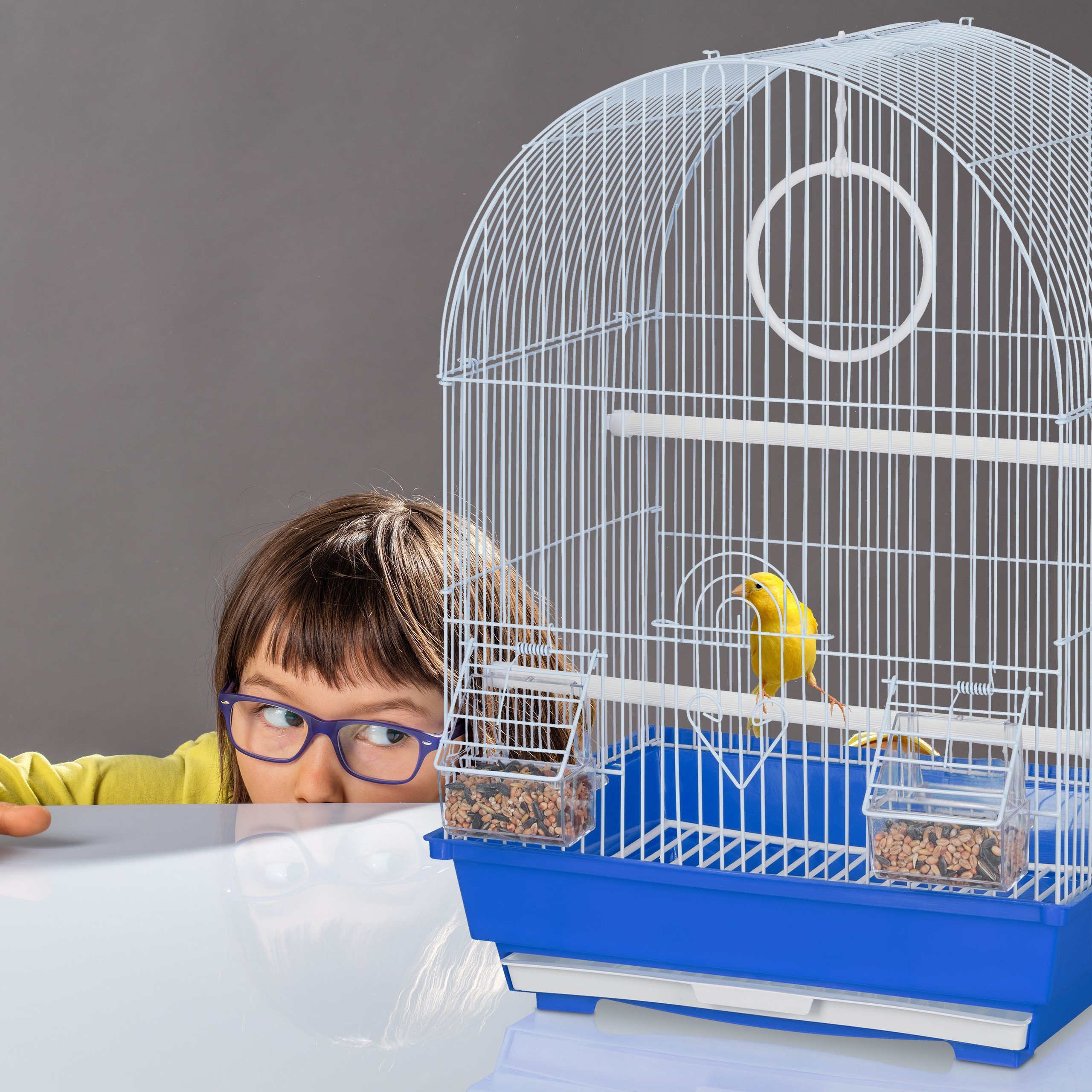 relaxdays Vogelkäfig Vogelkäfig mit Zubehör blau