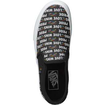 Vans WM Asher Skate Sneaker in schwarz