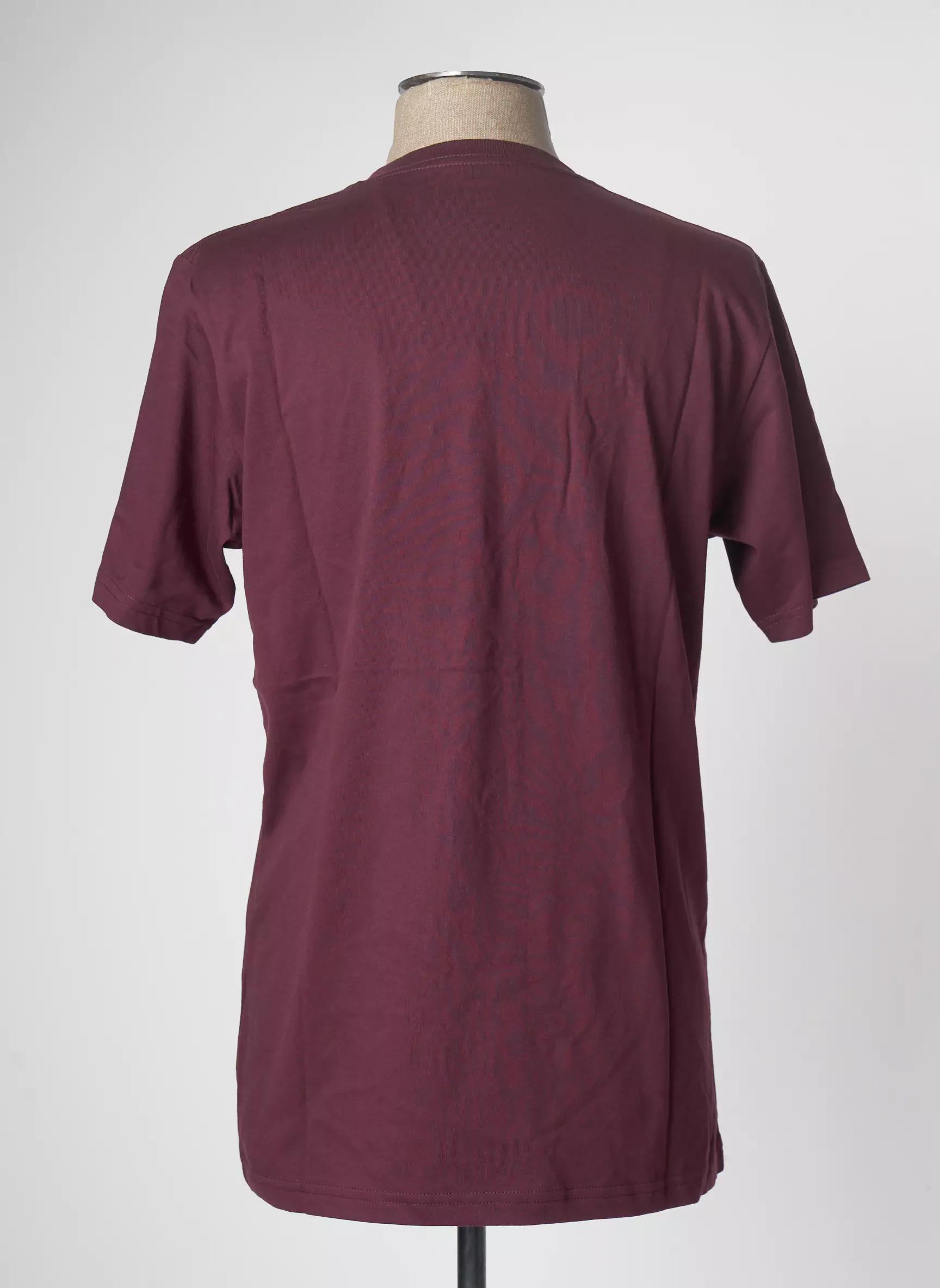 Dickies Tshirts Homme couleur marron