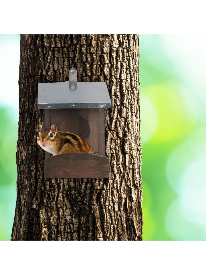 relaxdays Eichhörnchen Futterhaus in Dunkelgrün günstig kaufen onesize