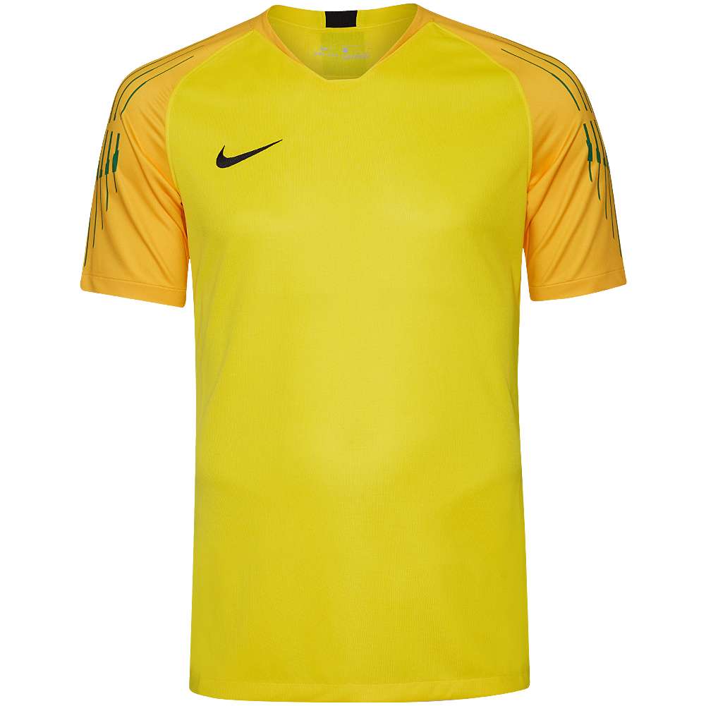 Nike Gardien II Herren Torwart Trikot 894512-719
