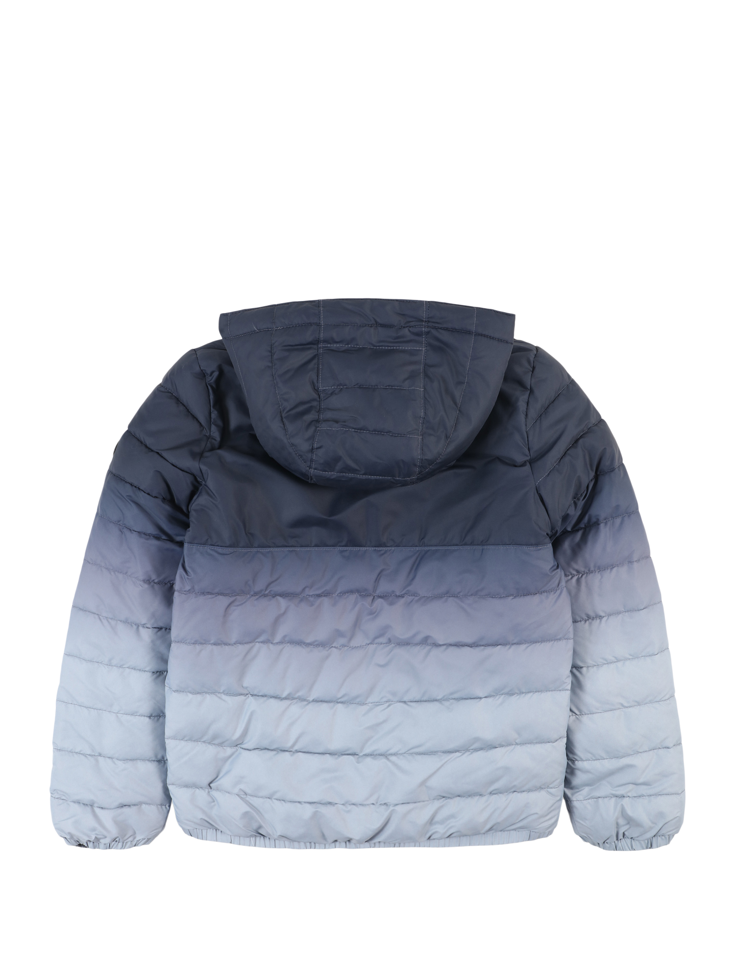 Winter Jacket