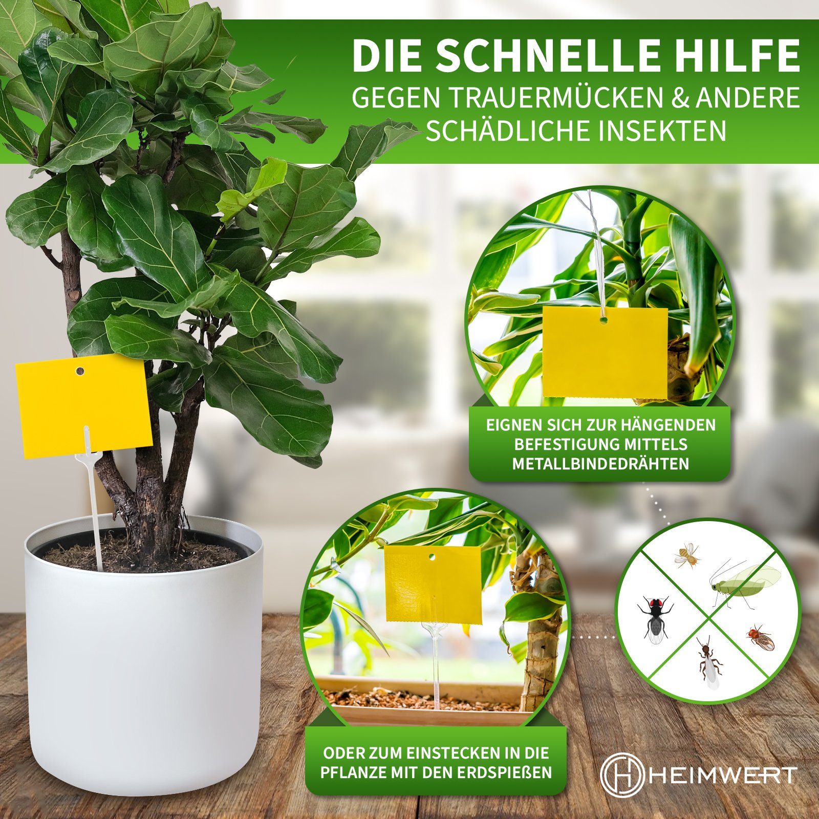 HEIMWERT Klebefalle Gelbsticker Gelbtafeln XXL, 6 Monate Langzeit teilbar mit 20 XXL Erdspießen und 20 Bindedrähten