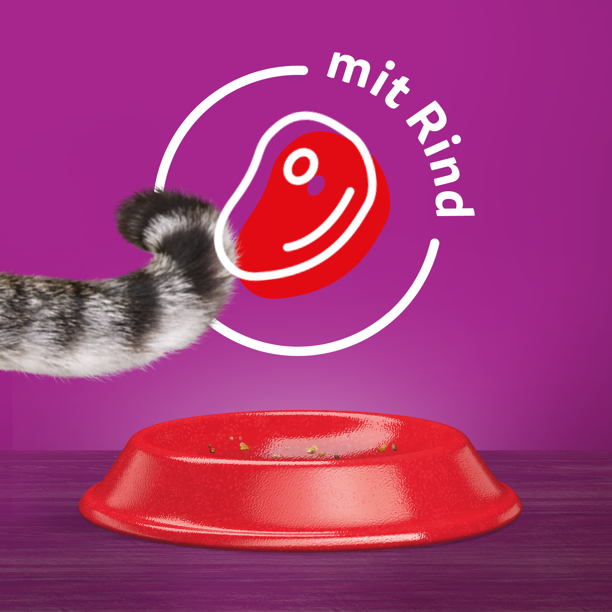 Whiskas Trockenfutter Whiskas Beutel 1+ mit Rind 3,8kg