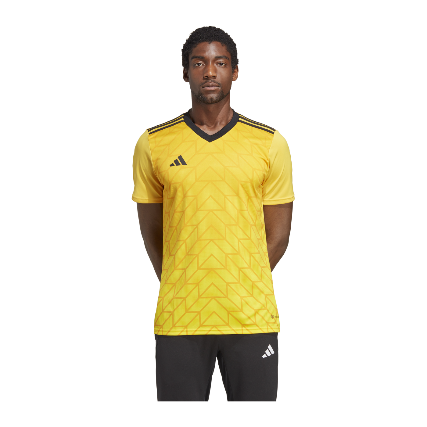 adidas Team Icon 23 Trikot Gold