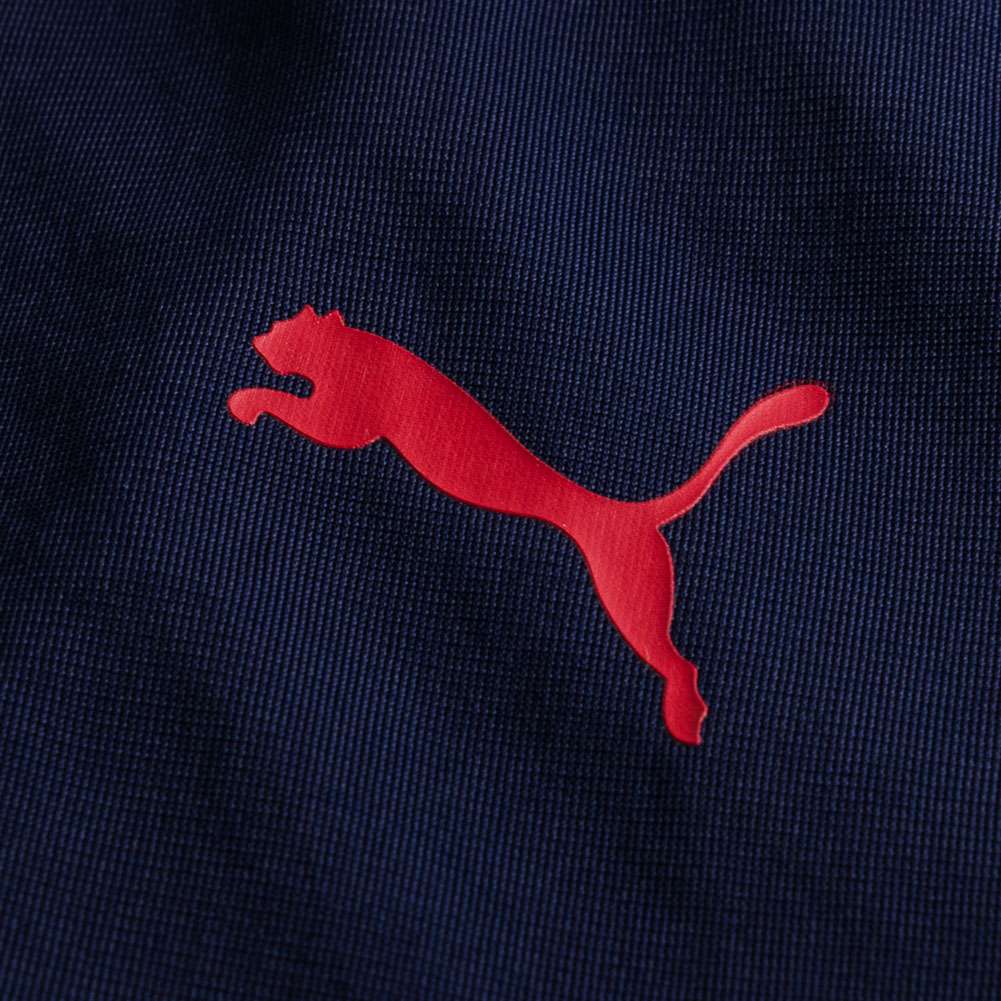 PUMA TECHStripe Suit Herren Trainingsanzug 851551-12