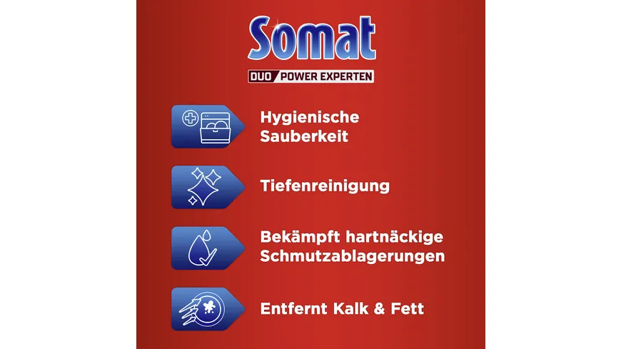 Somat Intensiv Maschinen Reiniger 0.25 l