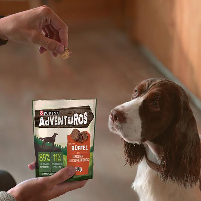 PURINA Adventuros Reich an Büffel mit Urkorn