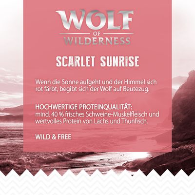 Wolf of Wilderness 
