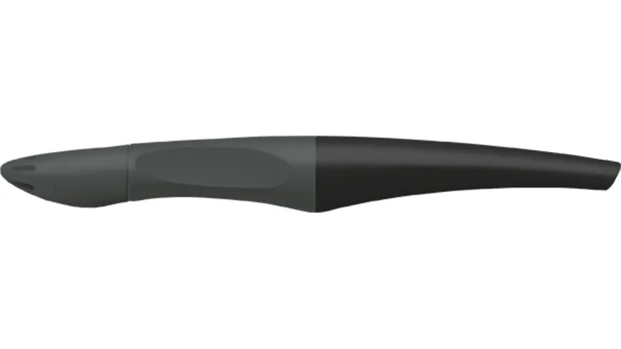 STABILO® FUN Ergonomischer Tintenroller graphit