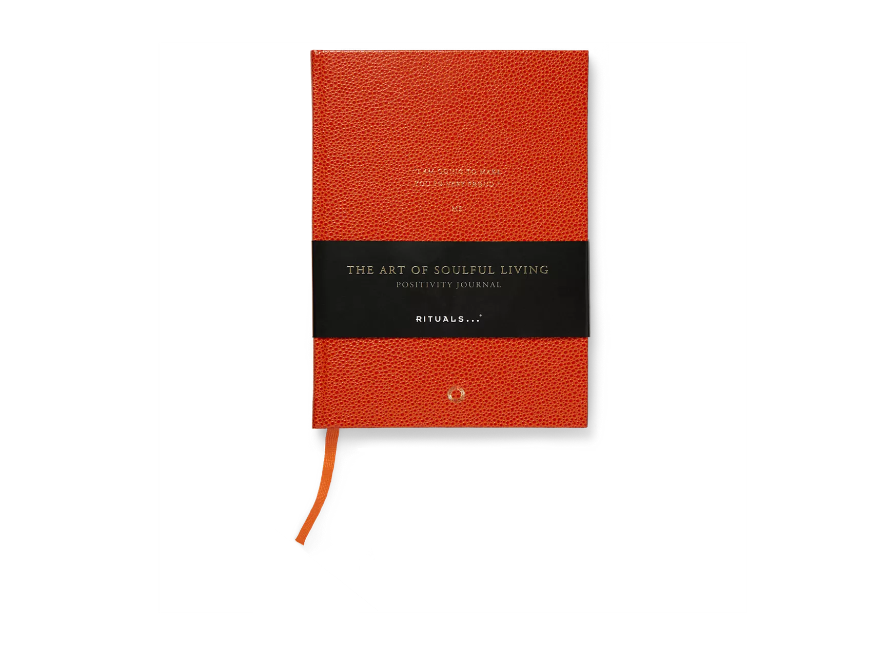 Journal de la positivité