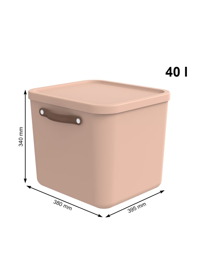 Rotho 2er-Set Aufbewahrungskiste 40l in Meadow rose günstig kaufen onesize
