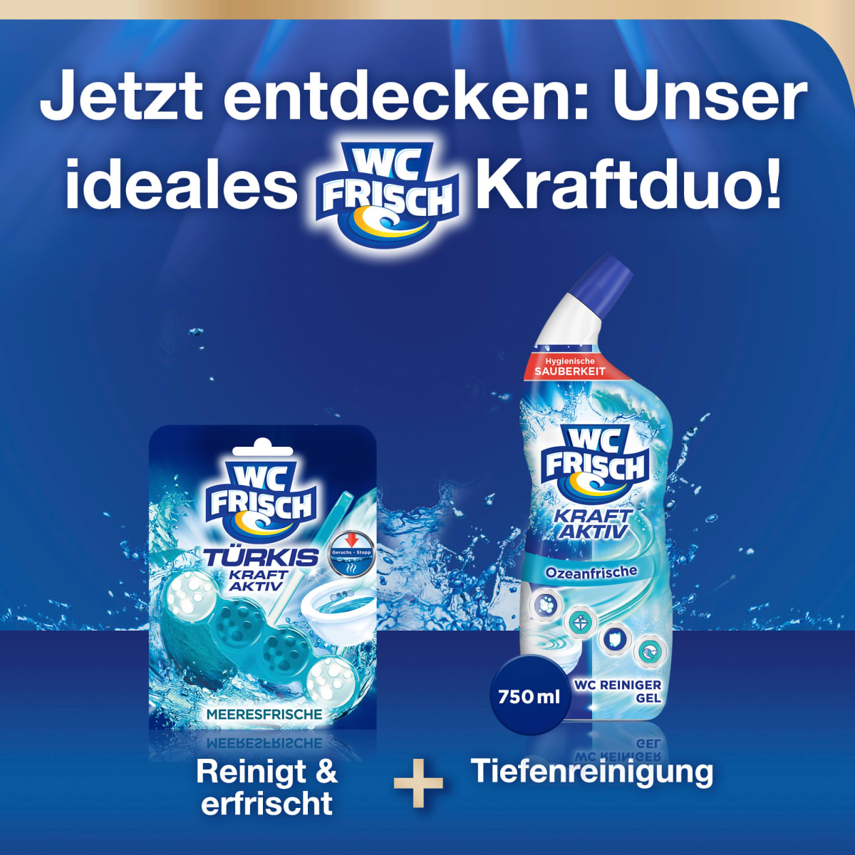 WC-Stein Türkis Kraft Aktiv Meeresfrische, 1 St