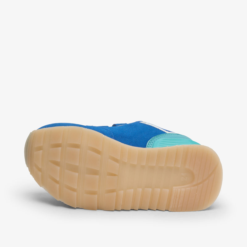 winston royal blue - Blau