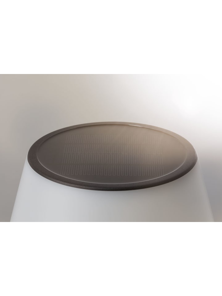 paulmann Solar LED Tischleuchte Lillesol günstig kaufen onesize