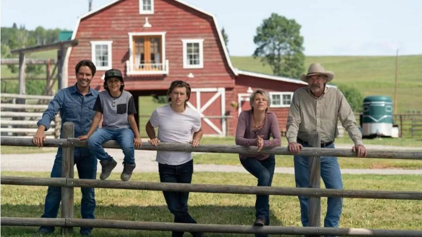 Heartland - Paradies für Pferde - Staffel 12 (Neuauflage)  [4 DVDs]