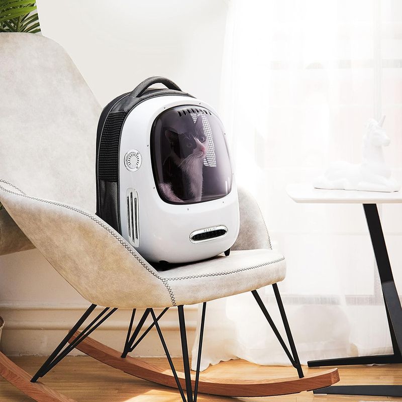 Petkit Breezy 2 Smart Pet Carrier zu TOP-Preisen